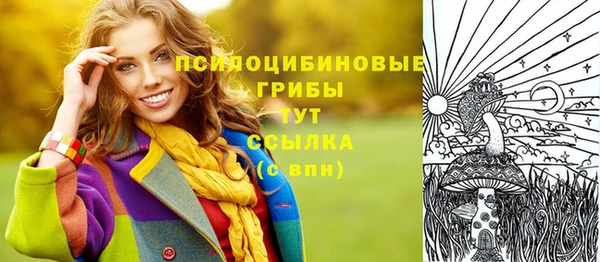 apvp Зеленодольск