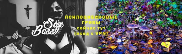 эйфоретик Протвино