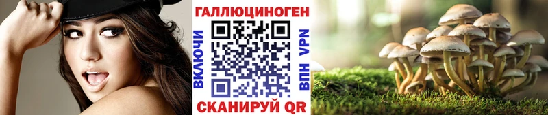 Галлюциногенные грибы Psilocybe что такое Калач